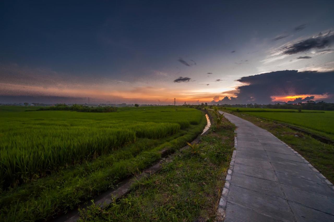 The Lebak Canggu Eksteriør billede