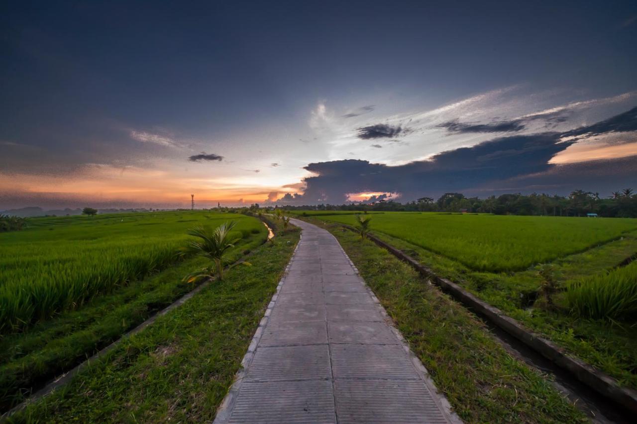The Lebak Canggu Eksteriør billede